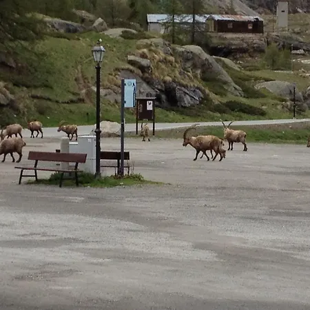 Albergo Gran Paradiso-3